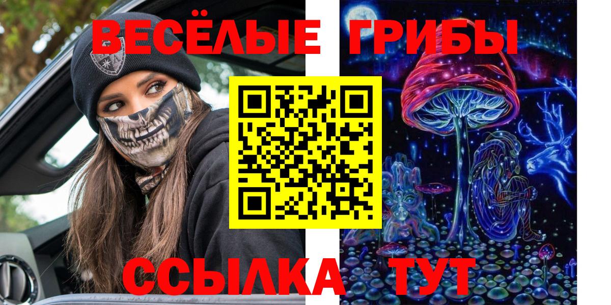 Галлюциногенные грибы Cubensis  Вход с VPN  Псилоцибиновые грибы мухоморы  Трёхгорный 