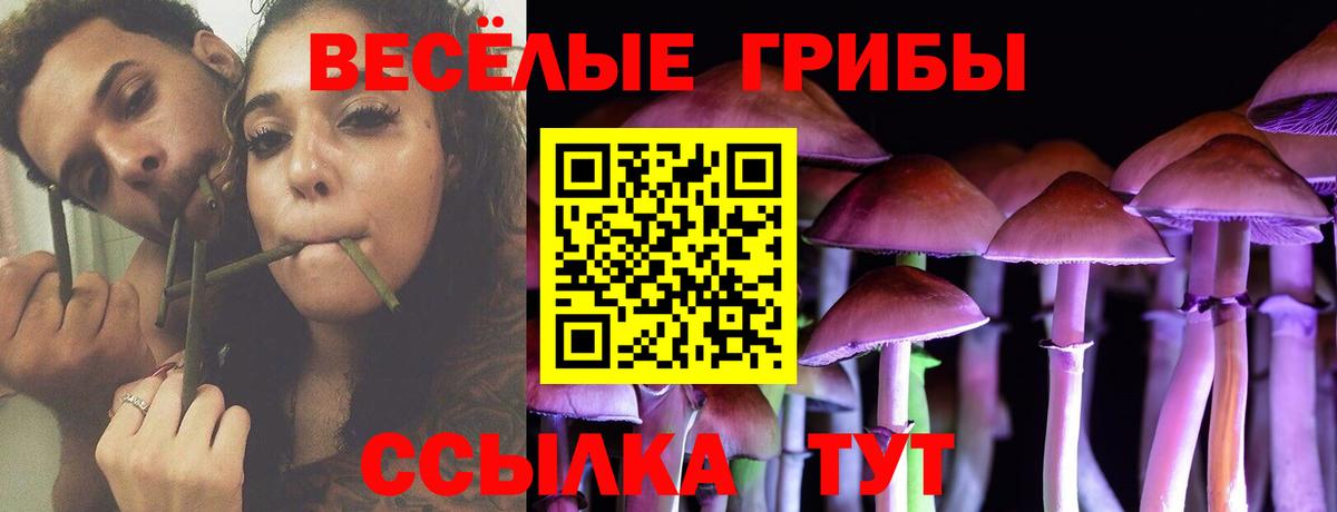 Галлюциногенные грибы прущие грибы Трёхгорный